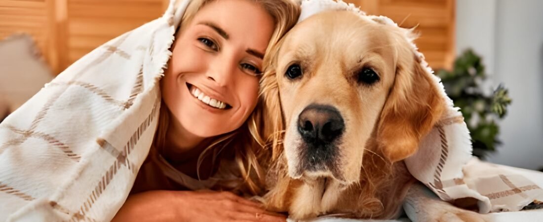 ¡Descubre el Descanso Supremo para tu Compañero Peludo! 🐾 Guía Definitiva de Camas para Perros (Probadas y Analizadas) 🏆