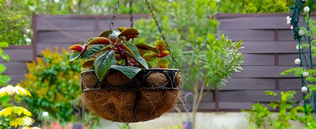 ¡🌿 Transforma tu hogar en un oasis verde! 🌿 Análisis EXPERTO de 10 maceteros colgantes que te cautivarán ✨