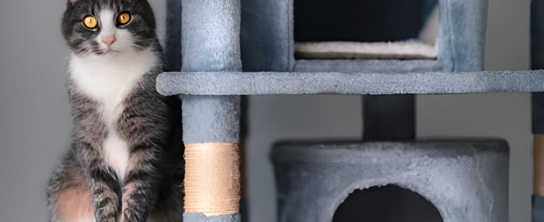 ¡Prepárate para ronronear de emoción! 😻 Guía Definitiva de Árboles Rascadores: ¡Encuentra el Paraíso Vertical para tu Felino! 🐾